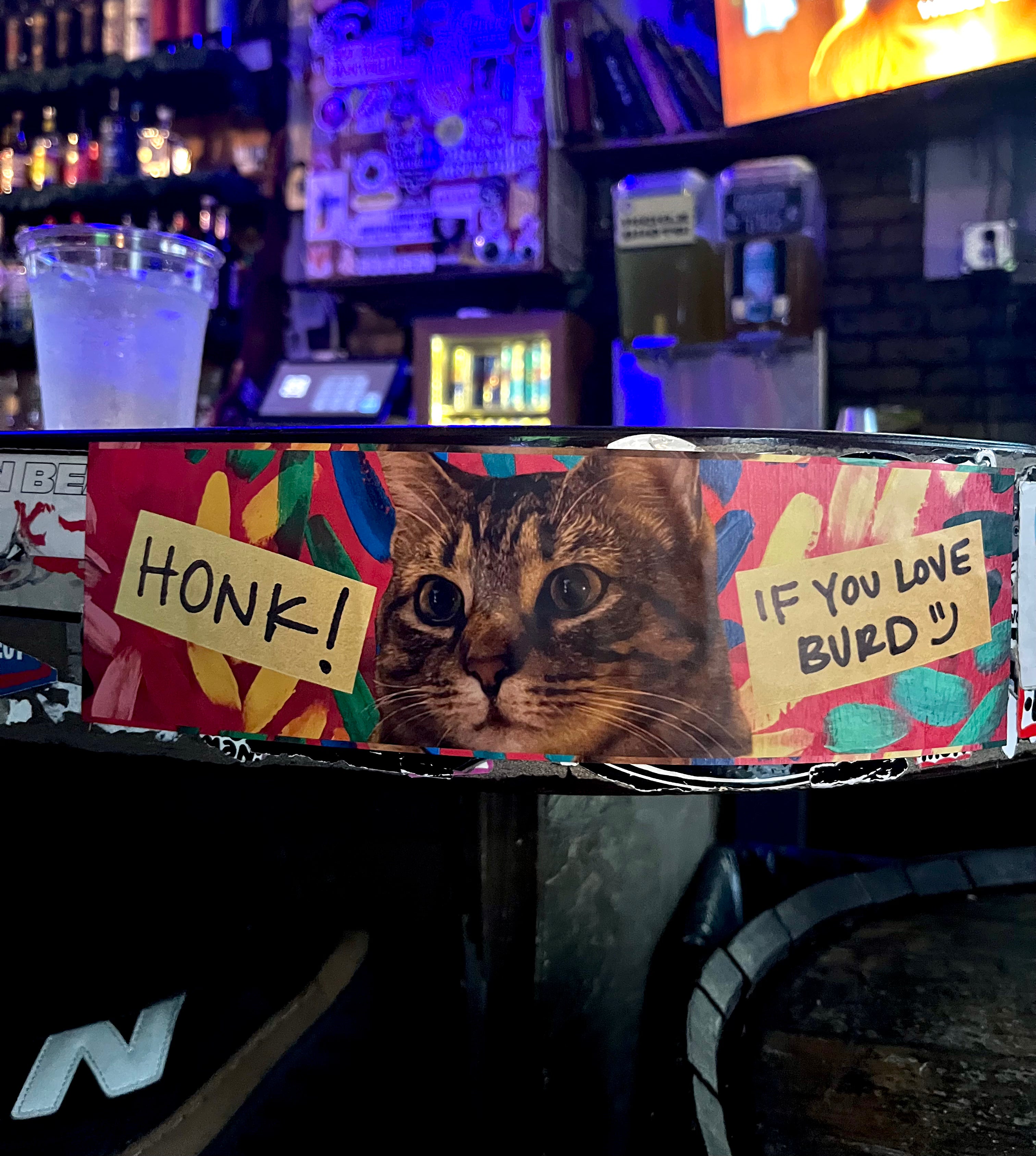 Bumper Sticker — 'Honk! If You Love Burd'